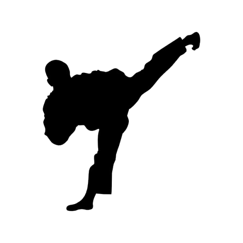 Taekwondo